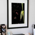 Flower Dream Series #3. Corinne Adams, Artist.