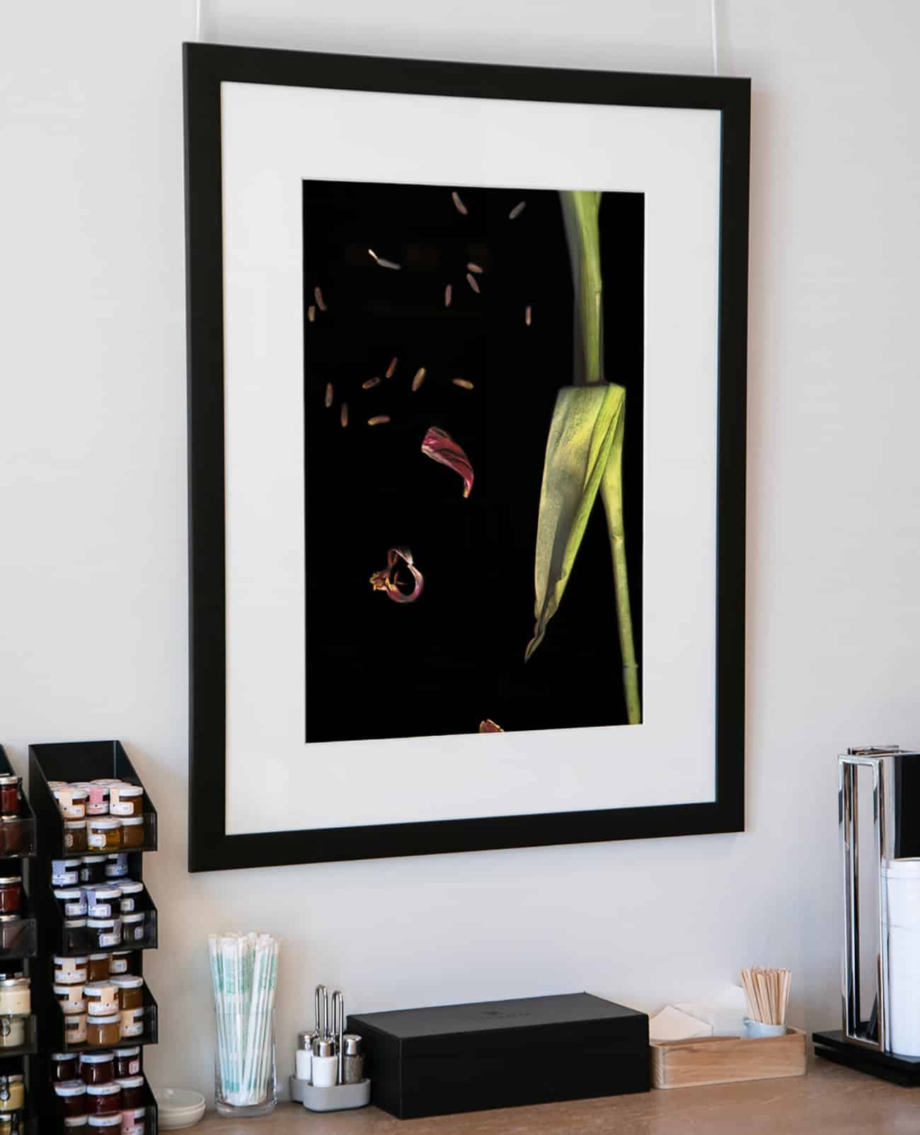 Flower Dream Series #3. Corinne Adams, Artist.