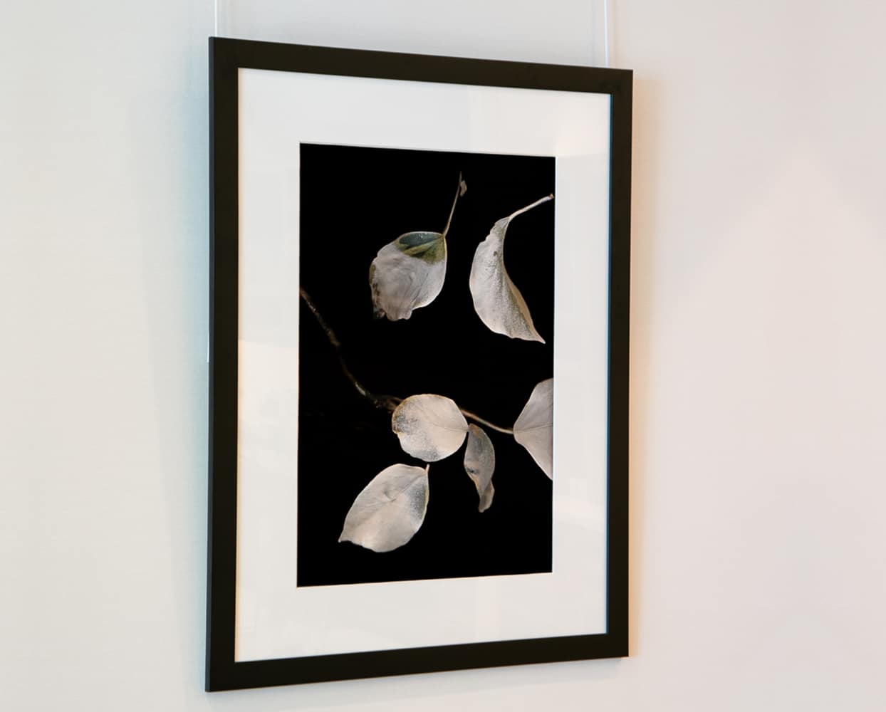 Haiku Series #9. Corinne Adams, Artist.