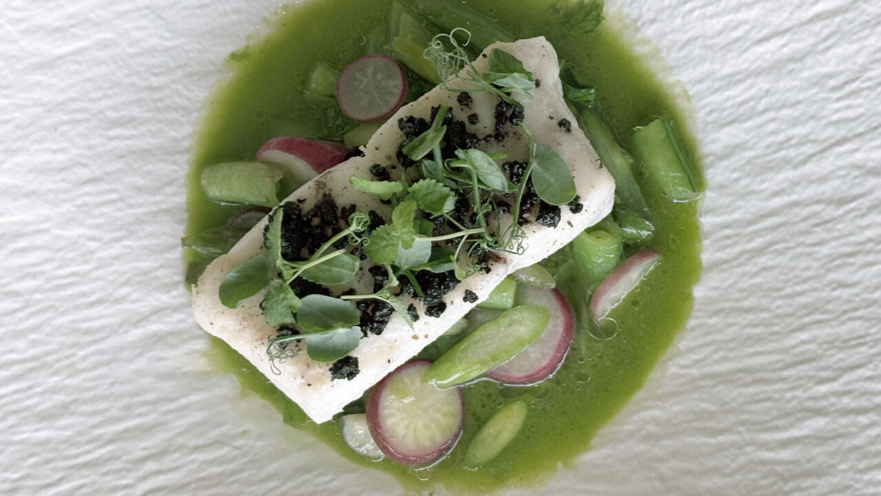 A piece of white fish garnished with microgreens sits atop sliced radishes and green vegetables in a green sauce on a white plate.